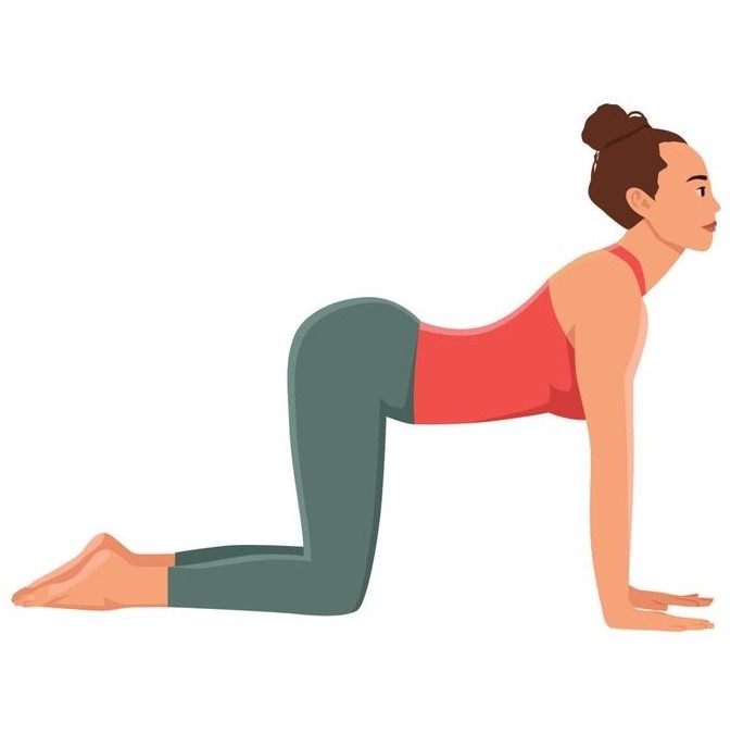 Marjaryasana Bitilasana Postpartum Yoga